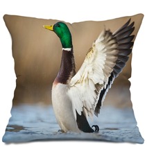 A Wild Duck Pillows 78769123