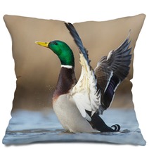 A Wild Duck Pillows 78769143