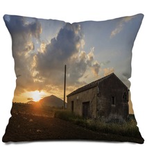 Abandoned Barn Pillows 73488389