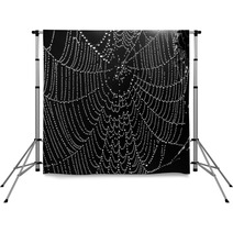 Abstract Black And White Background From A Web Backdrops 65067170