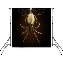Abstract Closeup Of A Huge Spider Dangling From Its Web 3d Rendering Backdrops 196101526