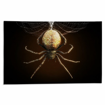 Abstract Closeup Of A Huge Spider Dangling From Its Web 3d Rendering Rugs 196101526