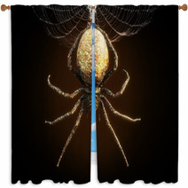 Abstract Closeup Of A Huge Spider Dangling From Its Web 3d Rendering Window Curtains 196101526