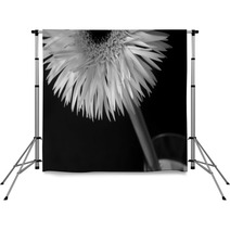 Abstract Flower Backdrops 3038696