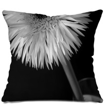 Abstract Flower Pillows 3038696