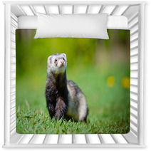 Adorable Ferret Portrait Nursery Decor 65065139