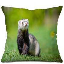 Adorable Ferret Portrait Pillows 65065139