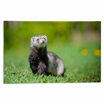 Adorable Ferret Portrait Rugs 65065139