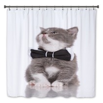 Adorable Kitten In A Bow Tie Bath Decor 65203750