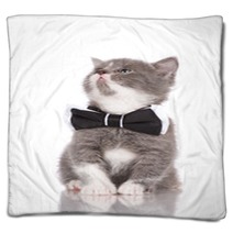Adorable Kitten In A Bow Tie Blankets 65203750