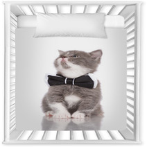 Adorable Kitten In A Bow Tie Nursery Decor 65203750