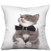 Adorable Kitten In A Bow Tie Pillows 65203750