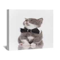 Adorable Kitten In A Bow Tie Wall Art 65203750