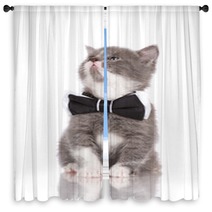 Adorable Kitten In A Bow Tie Window Curtains 65203750