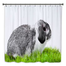 Adorable Rabbit Isolated On A White Background. Bath Decor 40106101