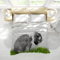 Adorable Rabbit Isolated On A White Background. Bedding 40106101