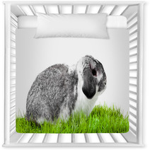 Adorable Rabbit Isolated On A White Background. Nursery Decor 40106101