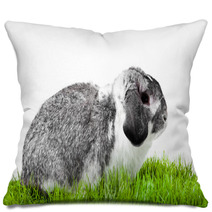 Adorable Rabbit Isolated On A White Background. Pillows 40106101