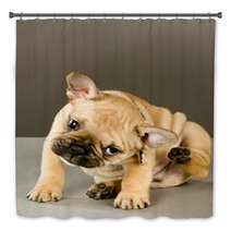 Adorable Scratching Puppy Bath Decor 38346856