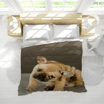 Adorable Scratching Puppy Bedding 38346856