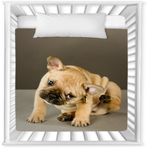 Adorable Scratching Puppy Nursery Decor 38346856