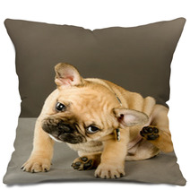 Adorable Scratching Puppy Pillows 38346856