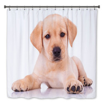 Adorable Seated Labrador Retriever Puppy Dog Bath Decor 65128679