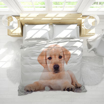 Adorable Seated Labrador Retriever Puppy Dog Bedding 65128679