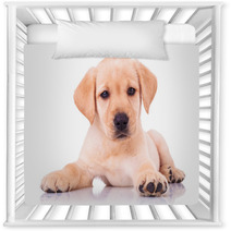 Adorable Seated Labrador Retriever Puppy Dog Nursery Decor 65128679