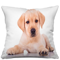 Adorable Seated Labrador Retriever Puppy Dog Pillows 65128679