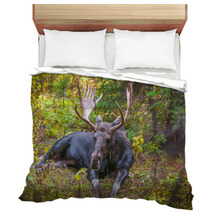 Adult Bull Moose Bedding 57320981