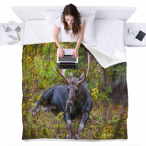 Adult Bull Moose Blankets 57320981