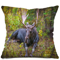 Adult Bull Moose Pillows 57320981