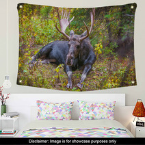Adult Bull Moose Wall Art 57320981