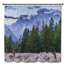 Adult Male Elk And His Herd - Grand Tetons Bath Decor 57321312