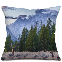 Adult Male Elk And His Herd - Grand Tetons Pillows 57321312