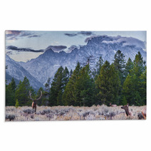 Adult Male Elk And His Herd - Grand Tetons Rugs 57321312