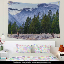 Adult Male Elk And His Herd - Grand Tetons Wall Art 57321312