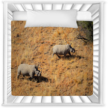Aerial View Of White Rhinoceros Pair In Grassland Nursery Decor 67142996