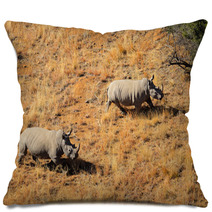 Aerial View Of White Rhinoceros Pair In Grassland Pillows 67142996