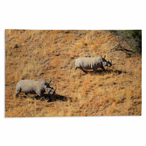 Aerial View Of White Rhinoceros Pair In Grassland Rugs 67142996
