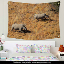 Aerial View Of White Rhinoceros Pair In Grassland Wall Art 67142996