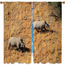 Aerial View Of White Rhinoceros Pair In Grassland Window Curtains 67142996