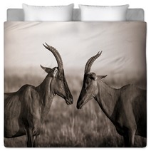 Africa Animal Antelope Kenya Plain Bedding 124445468