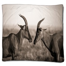 Africa Animal Antelope Kenya Plain Blankets 124445468
