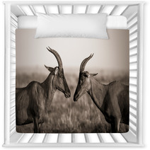 Africa Animal Antelope Kenya Plain Nursery Decor 124445468