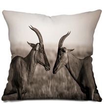 Africa Animal Antelope Kenya Plain Pillows 124445468