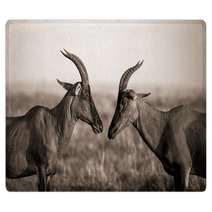 Africa Animal Antelope Kenya Plain Rugs 124445468