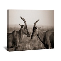 Africa Animal Antelope Kenya Plain Wall Art 124445468