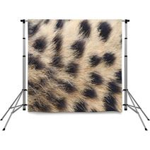 African Cheetah Backdrops 70994317